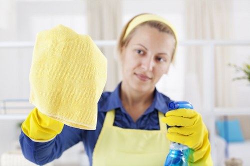 Carpetcleaning SW12 team using sustainable cleaning equipment