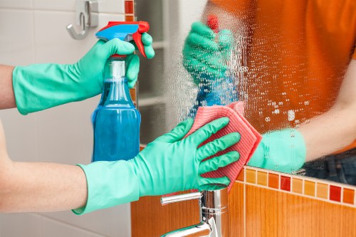 Professional carpet cleaning in SW12 living room