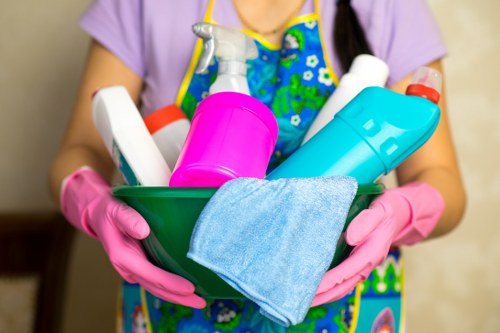 Deep cleaning equipment and supplies used by cleaners in SW12