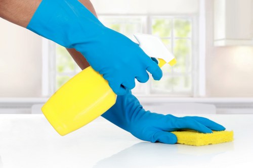 Local carpet cleaner in SW12 preparing for a service
