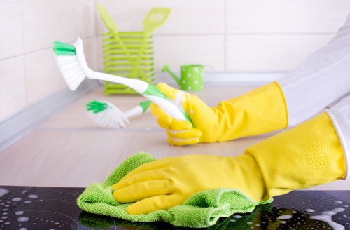 Detailed kitchen and bathroom deep cleaning in SW12