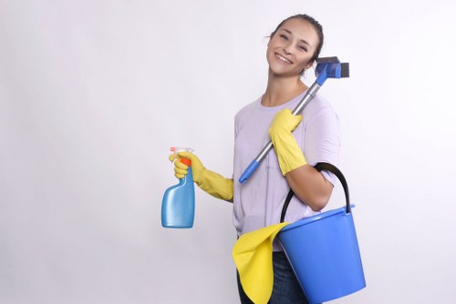 Professional carpet cleaning safety measures in a SW12 property