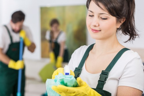 Cleaning process for household carpets and hallways