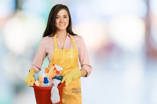 Eco-friendly home cleaning tools used by SW12 cleaners